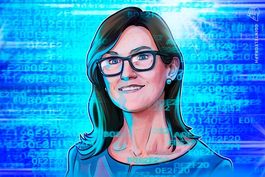 Cathie Wood’s ARK Invest adds BitMine shares as it offloads M in Tesla stock