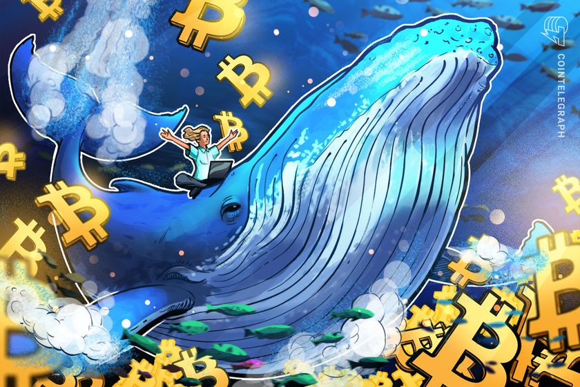 Bitcoin whale holdings hit five-month high: Is BTC headed to K next?