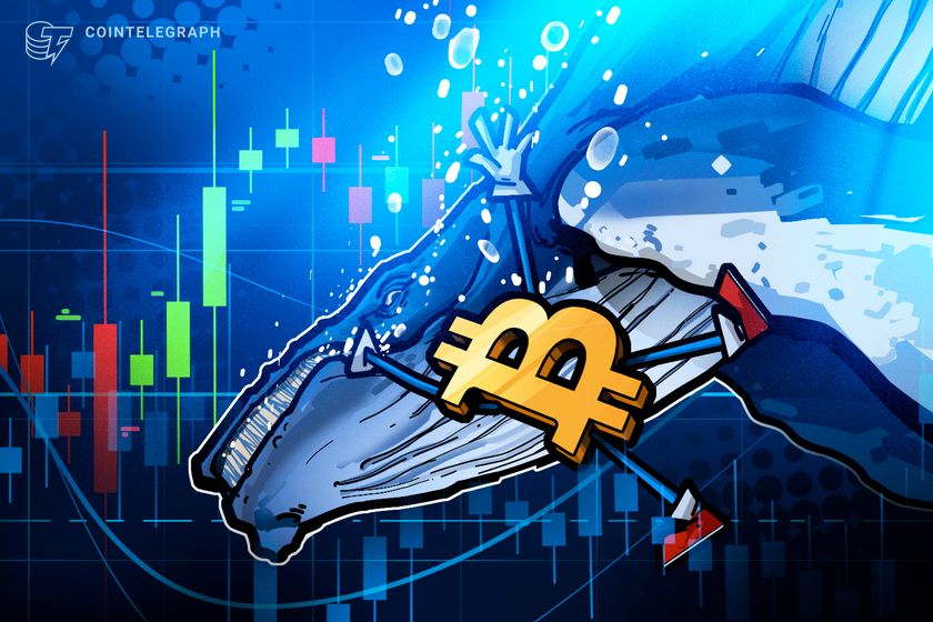 Bitcoin whale ‘still short’ BTC despite facing M in losses