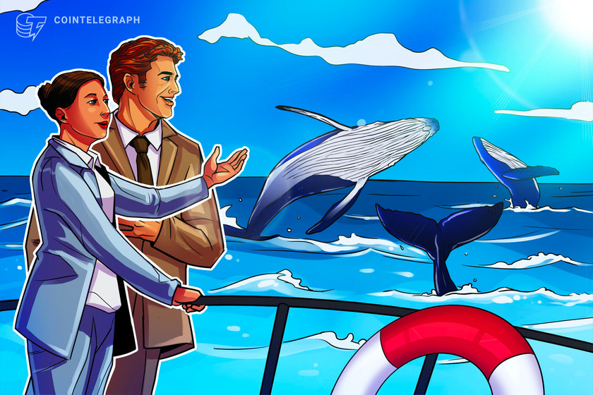New Bitcoin entities near all-time high as analyst heralds ‘positive whale activity’