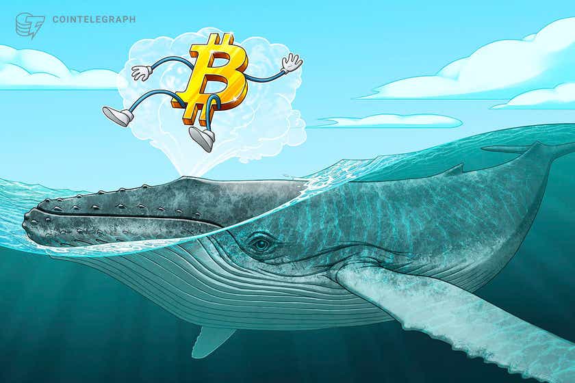Bitcoin whales move fresh coins to exchanges in repeat of behavior before K BTC price dip