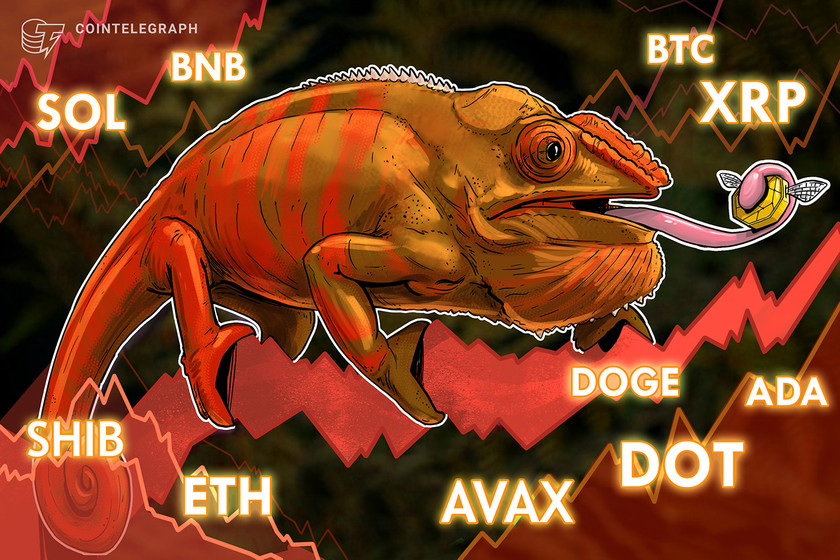 Price analysis 5/13: BTC, ETH, BNB, XRP, ADA, SOL, DOGE, DOT, AVAX, SHIB