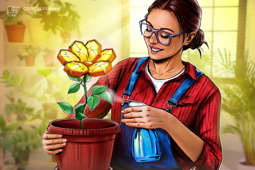 Roth IRAs: The ideal long-term cryptocurrency investment?