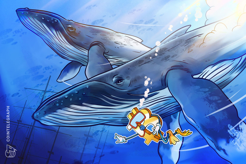 Bitcoin eyes ‘textbook’ bottom as K whale cost basis comes into play