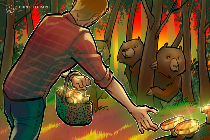 Bitcoin bear market 70% dip kills BTC ‘tourists’ as metric screams buy
