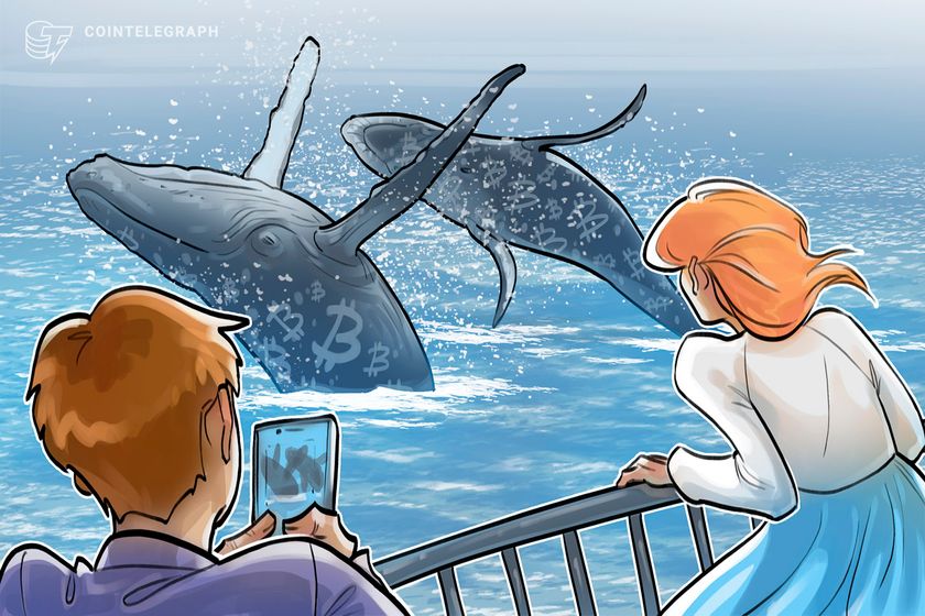 Bitfinex whales go long BTC for 2026: 5 things to know in Bitcoin this week