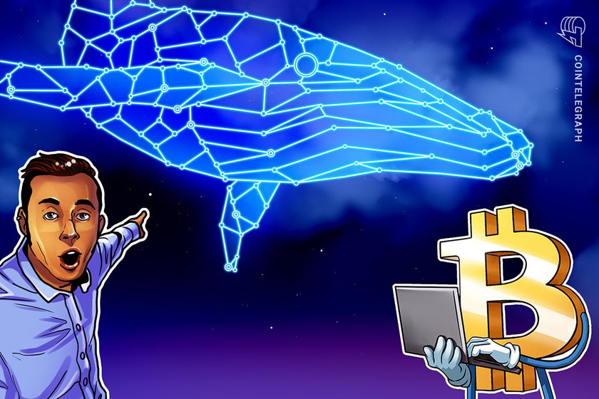 Bitcoin whales are starting to accumulate again at K: Santiment