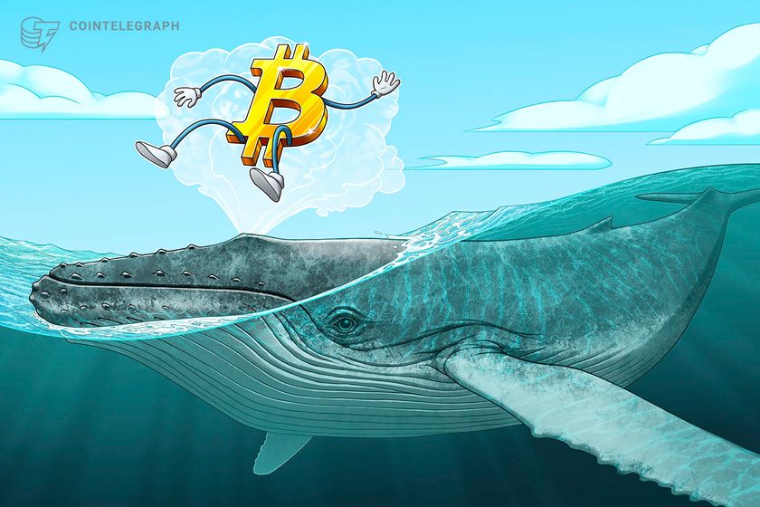 Bitcoin bulls blitz K as retail traders pressure short positioning