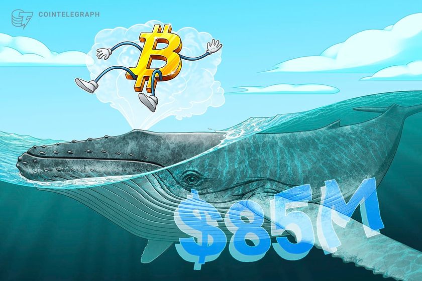 Satoshi-era whale moves M in Bitcoin after 13 years