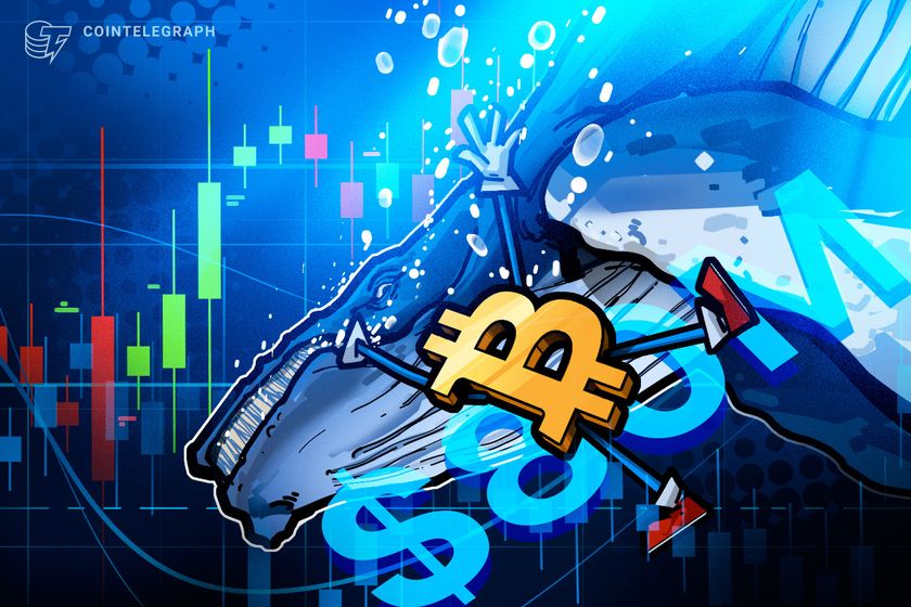 Hyperliquid whale makes M bet on market crash: Is Bitcoin in trouble?