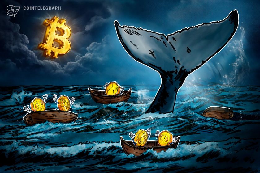 Rich Bitcoin traders lost 7M daily in first quarter of 2026