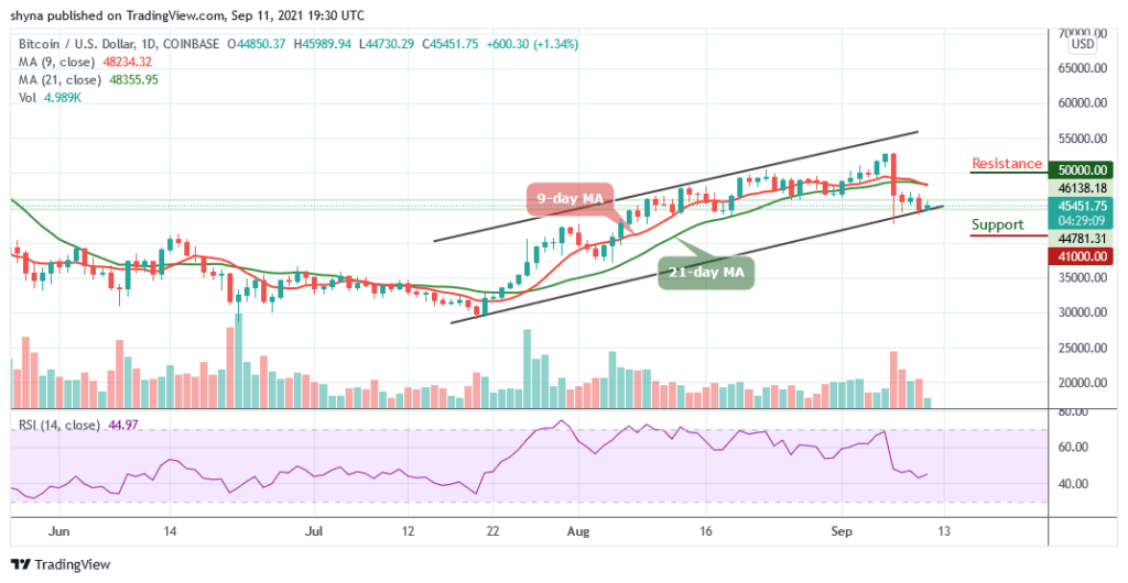Bitcoin Price Prediction: BTC/USD Stabilizes Above ,000