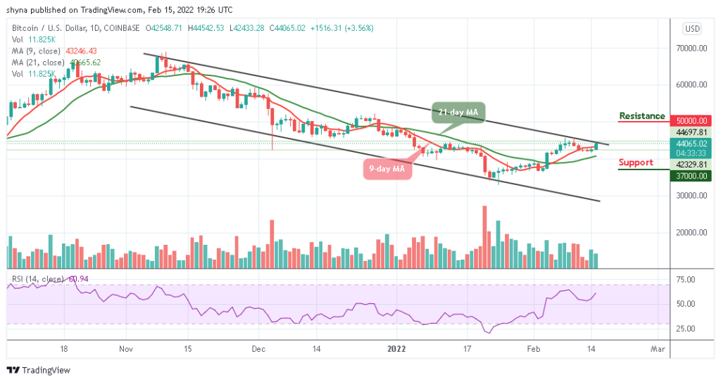 Bitcoin Price Prediction: BTC/USD Prepares to Climb ,000
