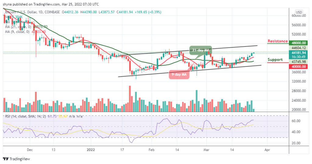 Bitcoin Price Prediction: BTC/USD Price Remains Intact Above ,000