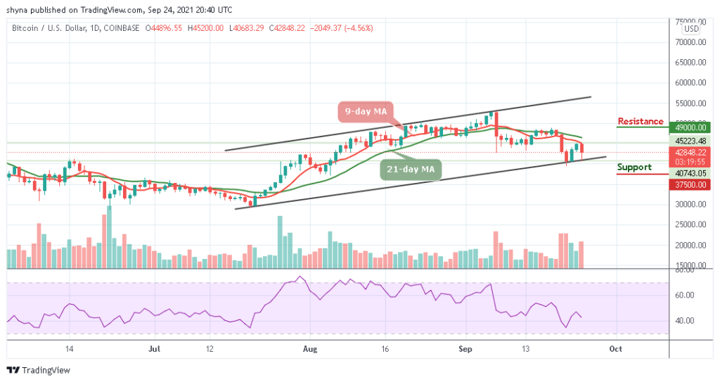 Bitcoin Price Prediction: BTC/USD Erases Gain; Drop Below ,000