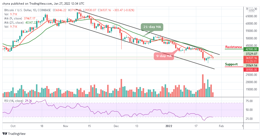 Bitcoin Price Prediction: BTC/USD Falls Below ,000 in Sudden Sell-Off
