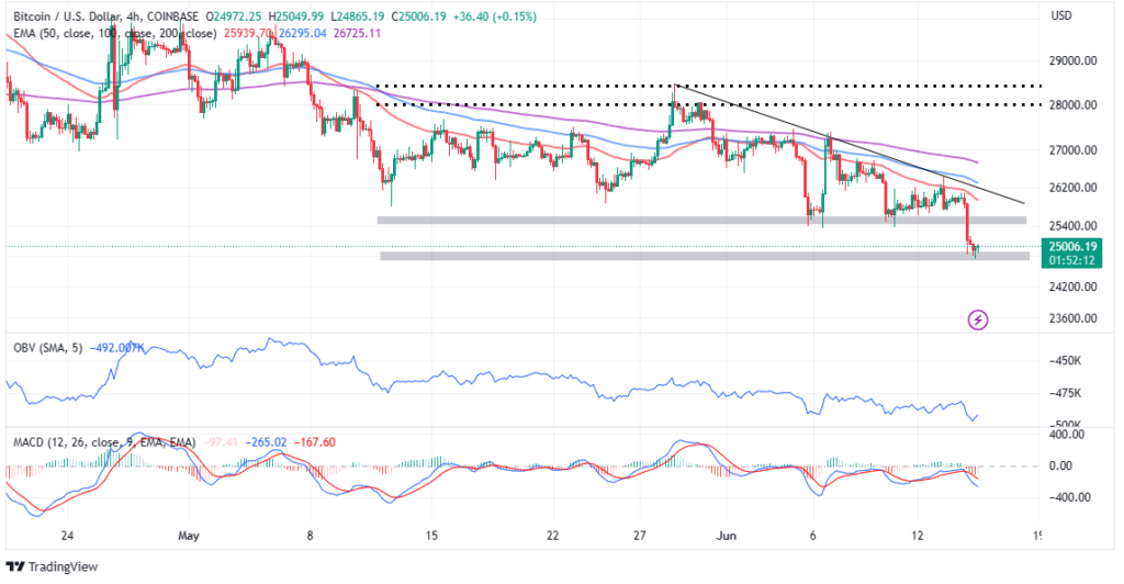 Why Bitcoin Whales Are Staying Calm Despite SEC-Triggered Crypto Market Sell-off