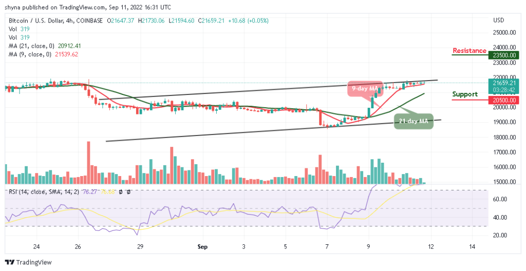 BTC Looks For A Direction; TAMA Goes Bullish