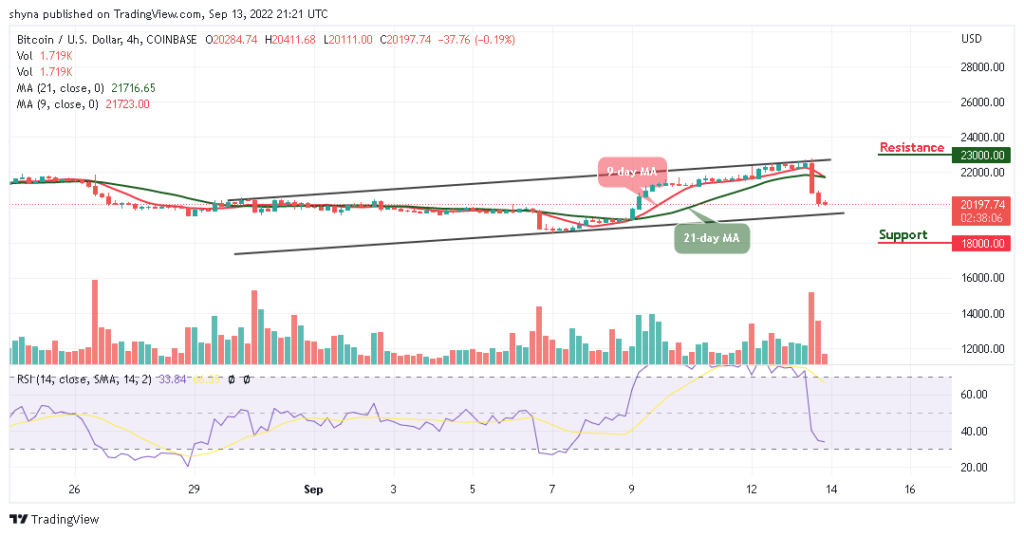 BTC Couldn’t Hit ,000 Resistance as Buyers Strongly Prefer TAMA