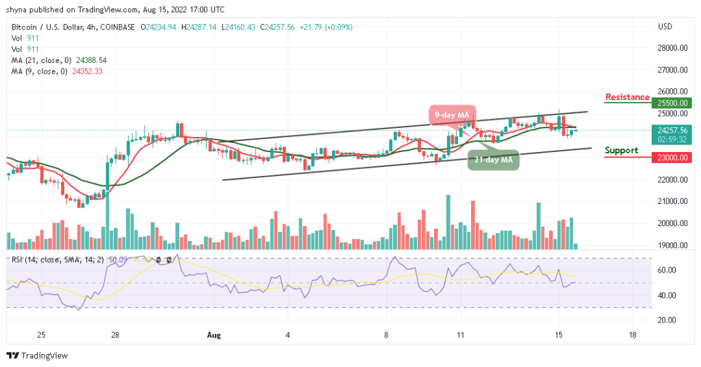 Bitcoin (BTC) Takes Support from ,881 as Tamadoge Heads to the North