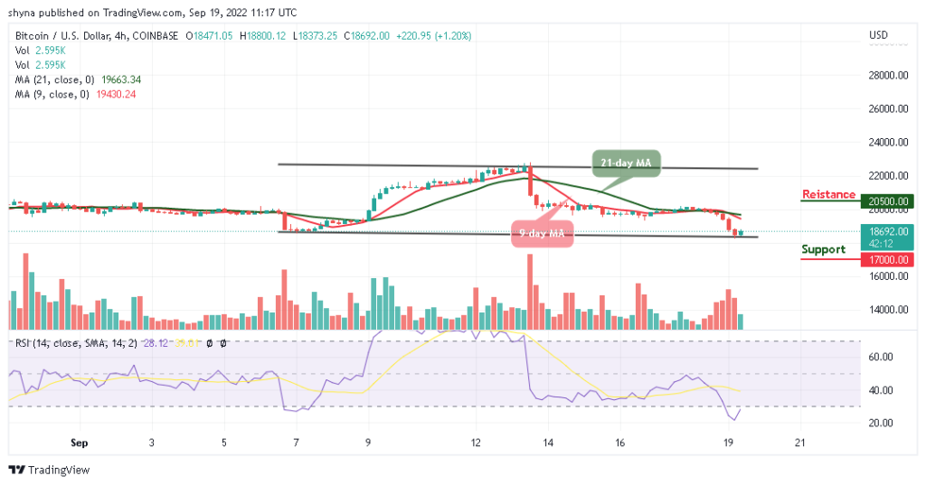 BTC Slumps Below ,000; TAMA is now sold out!