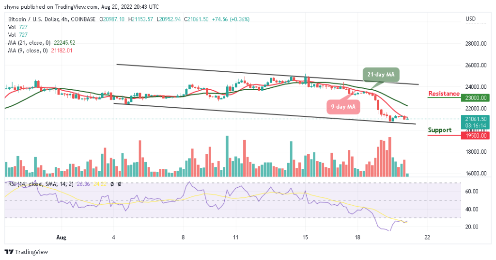 BTC Awaits Possible Breakout while Tamadoge Remains at the Upside