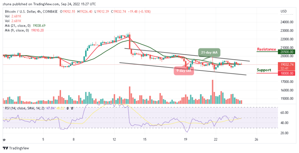 BTC Slides Below k as TAMA Pushes Up