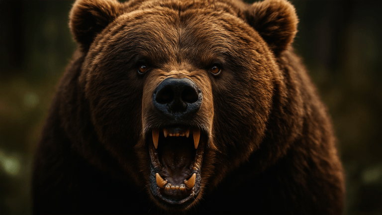 Bitcoin Bears Take Control — Key 0K Barrier Shattered