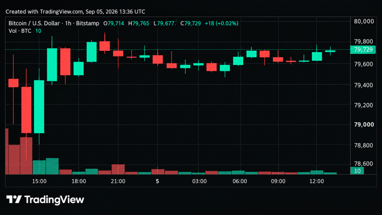 Bitcoin Price Teeters Near K as Momentum Starts to Crack