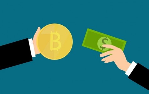 Famous Companies on BitcoinWide that Started Accepting Bitcoin in El Salvador