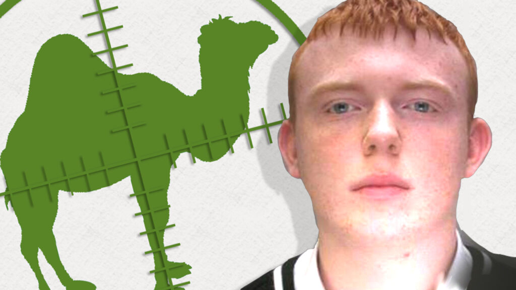 Silk Road 2 Admin Forfeits 7,000 in Bitcoin to British Law Enforcement