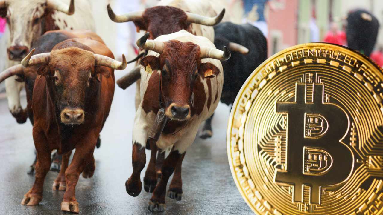 Devere Group Predicts a Bull Run and ‘Significant Bounce’ for Bitcoin in Q4