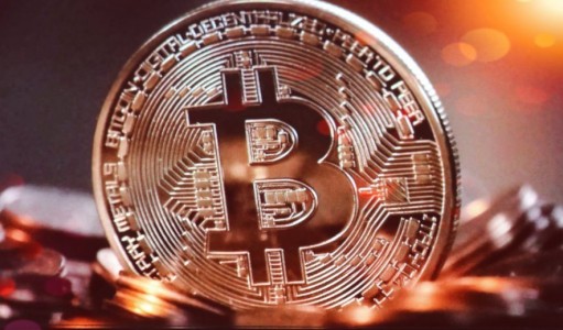 How Can Bitcoin Affect Canonical? The Advantages and Disadvantages