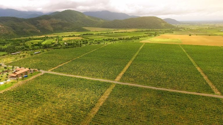 Georgia Secures 0M Partnership to Advance Tokenized Real‑World Asset (RWA) Agriculture
