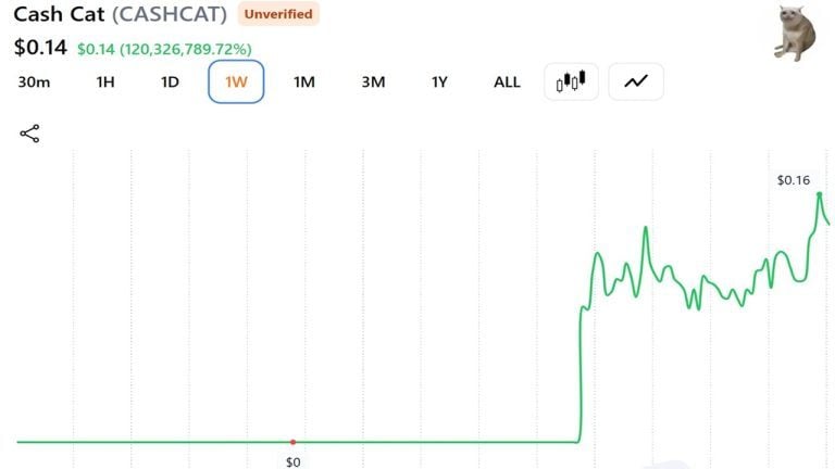 This Trader Sold His CASHCAT for 1 Instead of Retiring: Here’s the Math