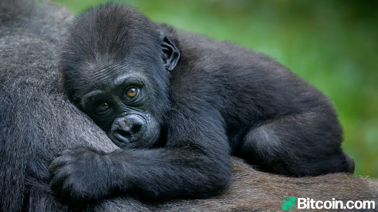 One of Africa’s Oldest Wildlife Conservancies Accepts Crypto Donations