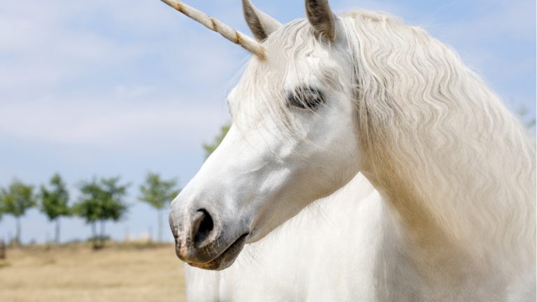 Latam Based Exchange Bitso Gets Unicorn Status After 0 Million Funding Round